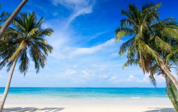 Arvia’s Caribbean naming event