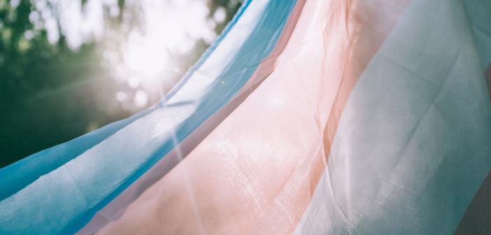 Recognising Transgender Day of Visibility