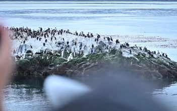 Memories of South American discovery on Queen Victoria