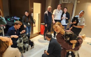 Paws 4 thought on Queen Mary 2