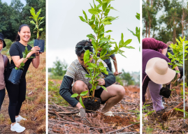 Growing roots of sustainability