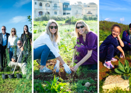 Taking root in our destinations